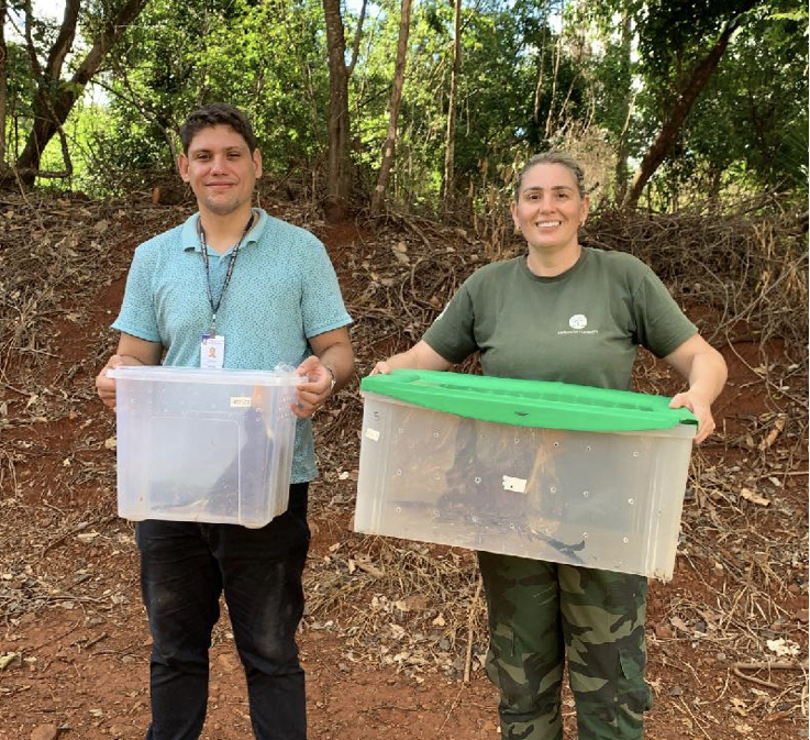 Aves reabilitadas no Bosque Zoológico Fábio Barreto são reintroduzidas na natureza