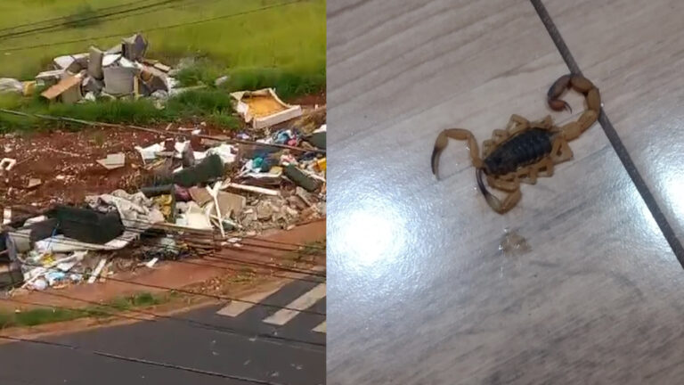 Prefeitura de Sumaré garante limpeza periódica em terreno com descarte ilegal de lixo