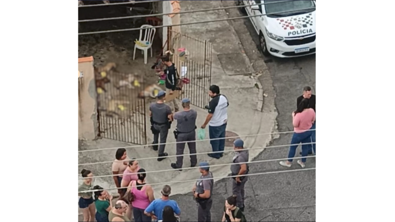 Cinco cachorros são encontrados mortos em quintal de casa em São José