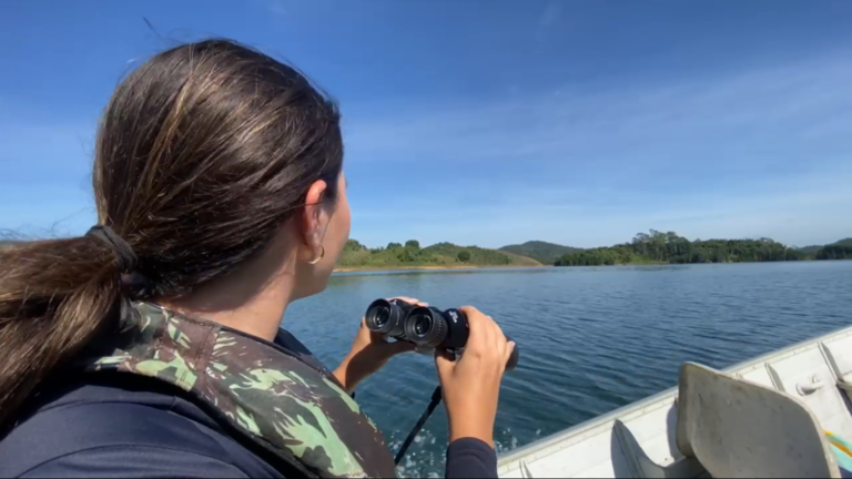 buscas por helicóptero