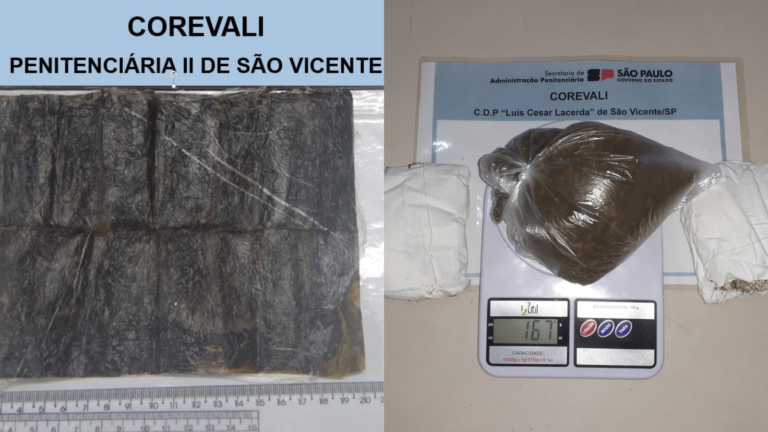 Cinco mulheres são presas tentando levar drogas para dentro de cadeias de São Vicente