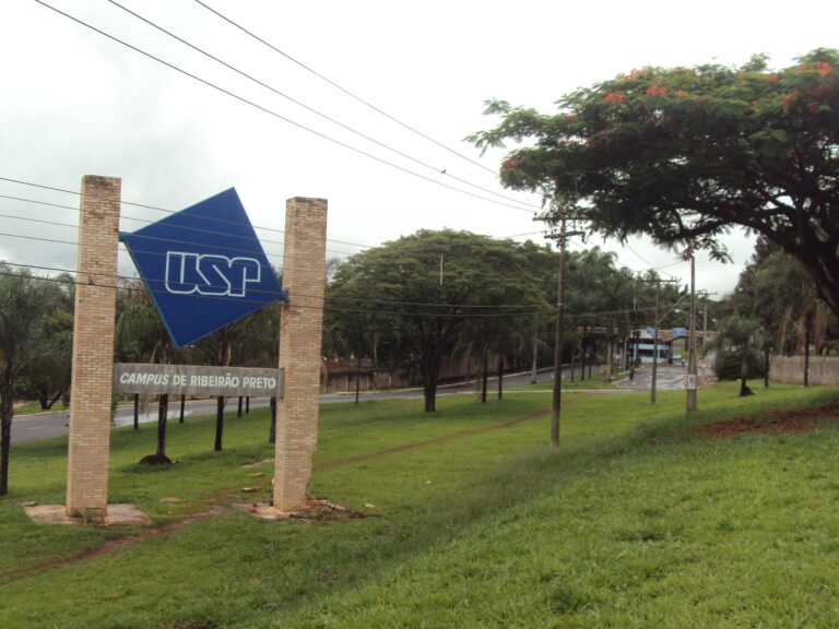 USP oferece mais de 4 mil vagas em cursos gratuitos para público 60+