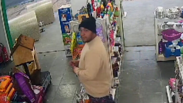 Câmeras flagram furto a pet shop em Campinas; veja vídeo