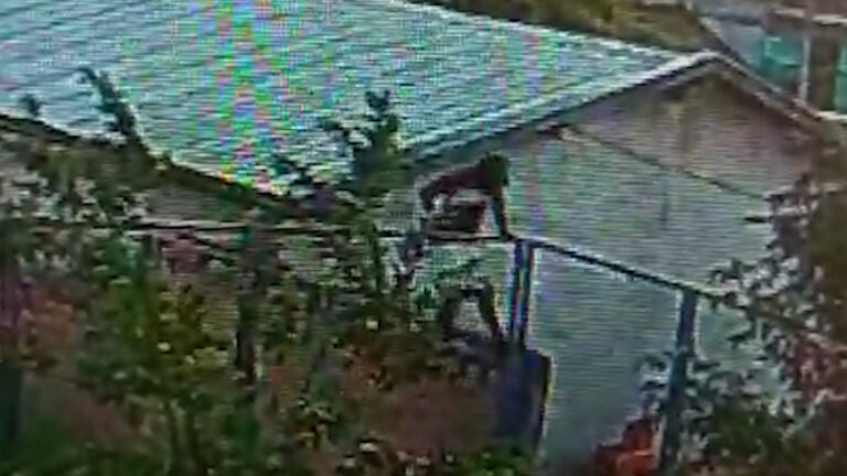 Homem invade escola infantil e furta peças de carne em Araras; veja vídeo