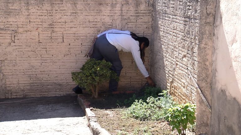 Prefeitura realiza primeiro mutirão do ano contra a dengue