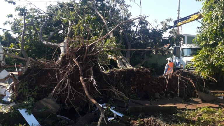Após ventos e pancadas de chuva, meteorologia indica a possibilidade de nova tempestade nesta segunda