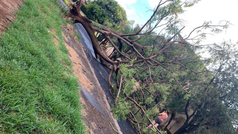 Com Ribeirão em alerta, Defesa Civil alerta para chuvas intensas durante o final de semana