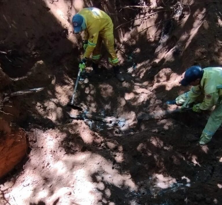 Em mata da região, quatro corpos são localizados e polícia investiga o caso