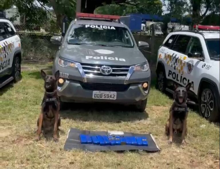 Forte odor de cloro leva Polícia Rodoviária a localizar maconha em ônibus de turismo