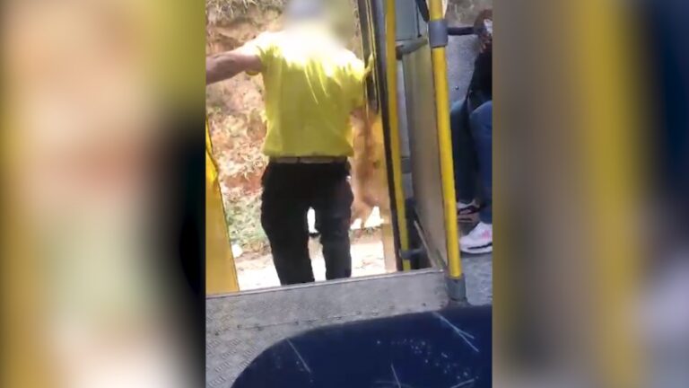 Motorista arremessa cachorro de ônibus coletivo e causa revolta; veja vídeo