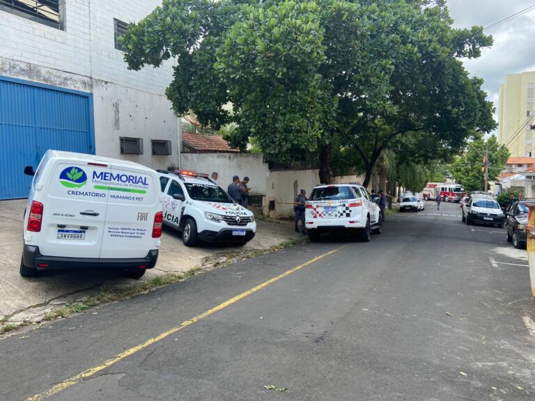 Idoso morre após ataque de abelhas em Piracicaba