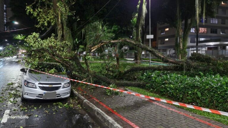 Árvore cai em cima de carro em São José