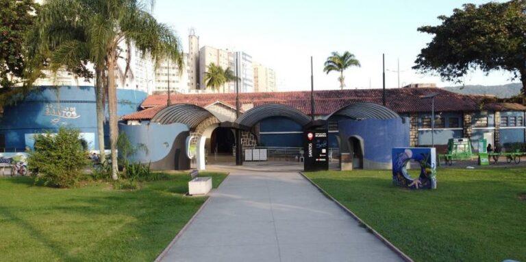 Divirta-se: Aquário de Santos tem programação especial