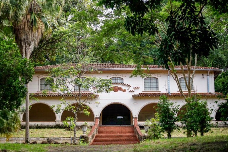 Primeira concorrência pela nova Lei de Licitações visa à construção de prédio de reserva técnica para museus