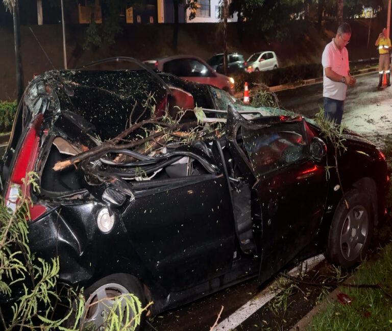 Árvore cai sobre carro durante chuva e uma pessoa fica ferida