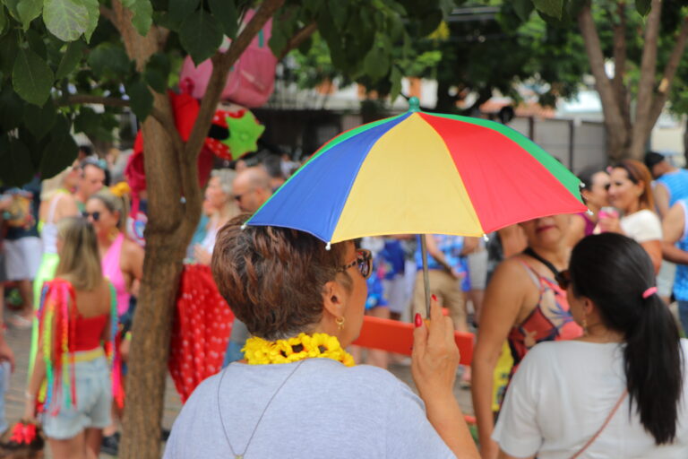 Defesa Civil de Campinas orienta foliões em caso de chuva forte durante o Carnaval
