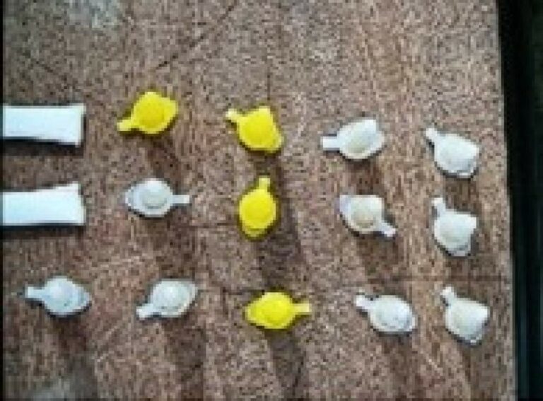 Polícia Militar prende suspeito de tráfico de drogas em Piacatu