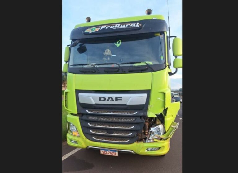 Equino morre após ser atropelado por caminhão na rodovia Elyeser em Araçatuba