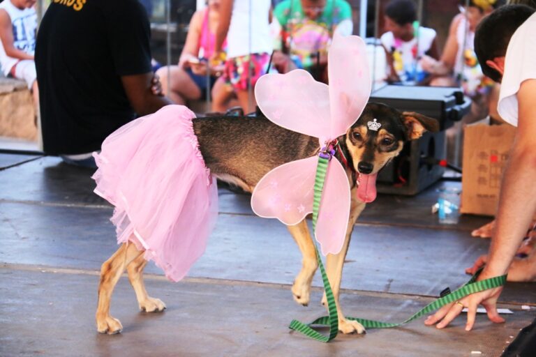 Carnaval em Caraguatatuba tem bloco pet