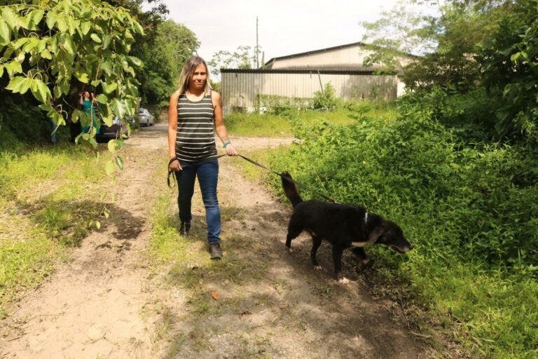 Tutores de animais podem se inscrever para receber doações do banco de rações de Santos