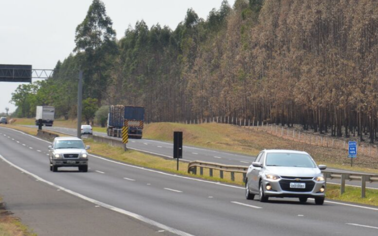 Gestante de 39 anos morre ao ser atropelada em rodovia por caminhão