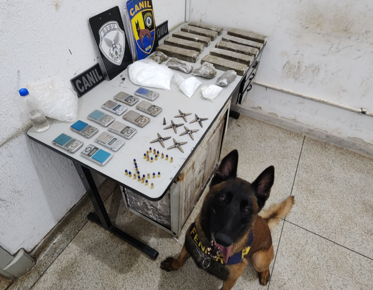 Canil encontra drogas e armas em galinheiro da zona Norte de Ribeirão Preto