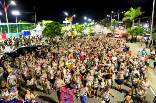 Carnaval 2024 Caraguatatuba: bloquinhos e shows pela cidade