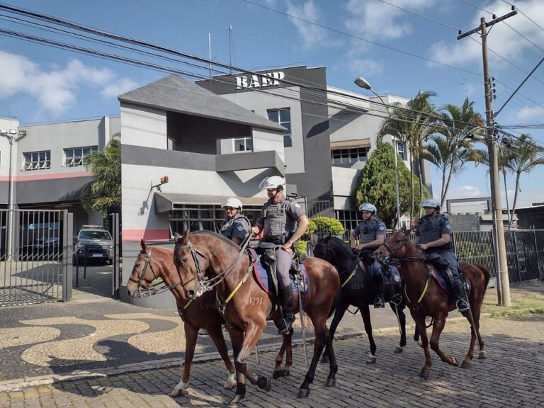 Conheça o trabalho da cavalaria do BAEP da Polícia Militar