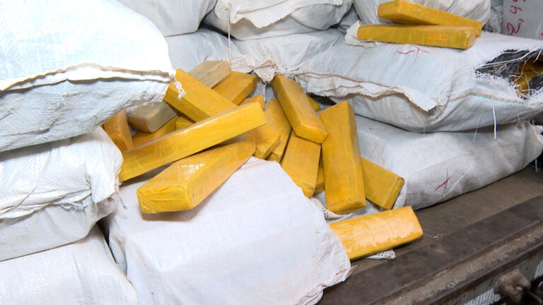 Denarc apreende mais de 4 toneladas de maconha em Sumaré