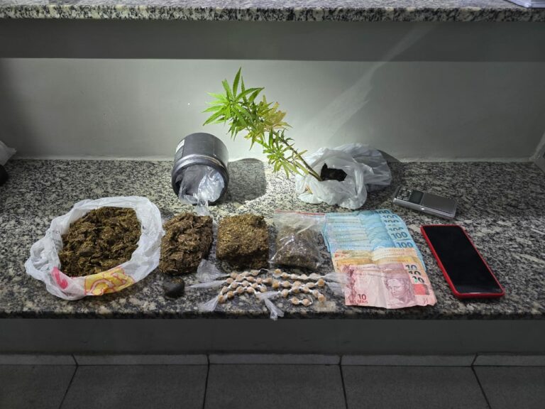 Disque drogas é descoberto após denúncia pé de maconha e entorpecentes são apreendidos