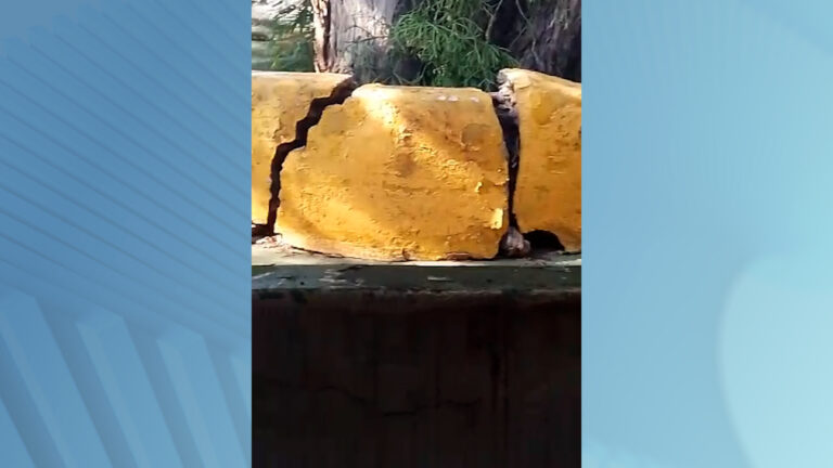 Um grupo de pais de alunos do Centro de Educação Infantil Reino Encantado, no Parque Fazendinha em Campinas procurou a Thathi Record para relatar a preocupação quanto a árvores na área da unidade.