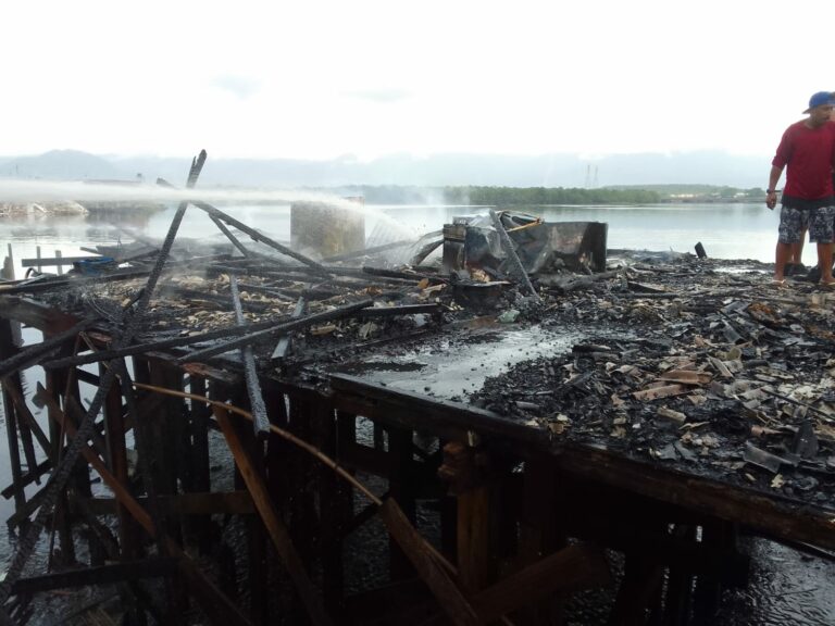 Incêndio atinge duas residências na Zona Noroeste em Santos