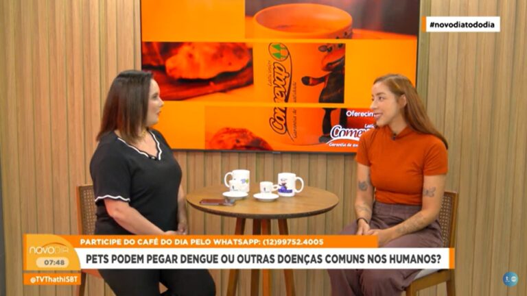 Aedes aegypti também pode transmitir doenças para os pets