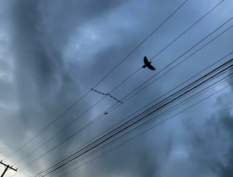 Mais chuva vindo aí? Saiba a previsão do tempo para esta terça-feira em Ribeirão Preto e região