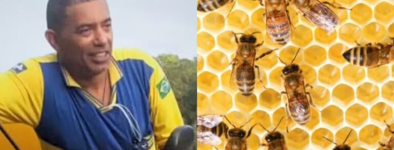 Carteiro vítima de ataque de abelhas morre em Bertioga