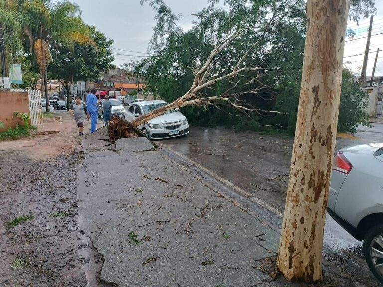 TEMPORAL CAUSA TRANSTORNOS EM SÃO JOSÉ DOS CAMPO