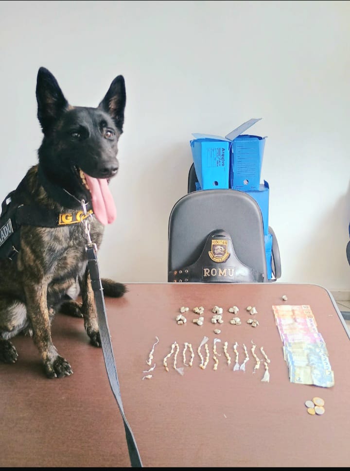 Guarda Municipal apreende porções de maconha e crack com menor de idade