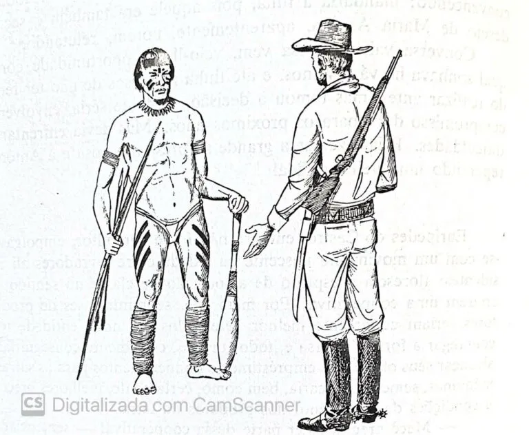 Arvoredo da rua Anita Garibaldi