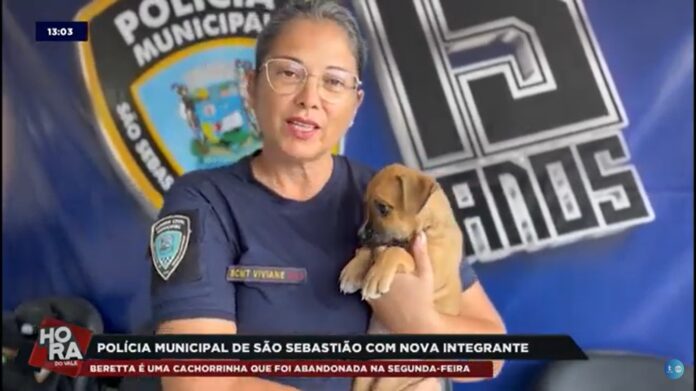 Filhote recrutada pela Polícia de São Sebastião ganha nome