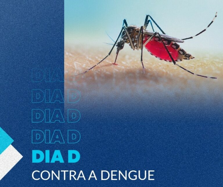 Prefeitura de Araçatuba Organiza Dia D de Combate à Dengue
