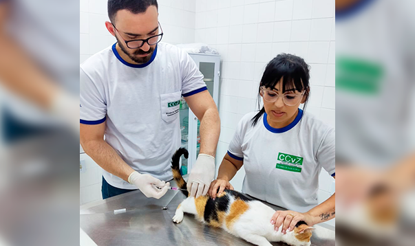 Prefeitura de Birigui reforça vacinação contra a raiva em cães e gatos