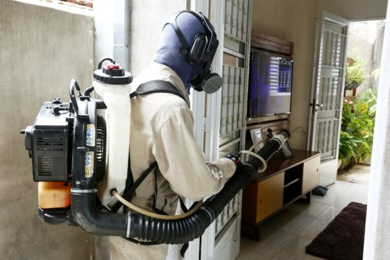 São José tem ações de combate à dengue no Carnaval