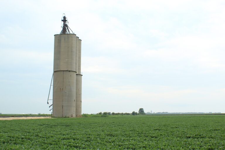 Funcionário é ‘esquecido’ em máquina de soja e morre triturado