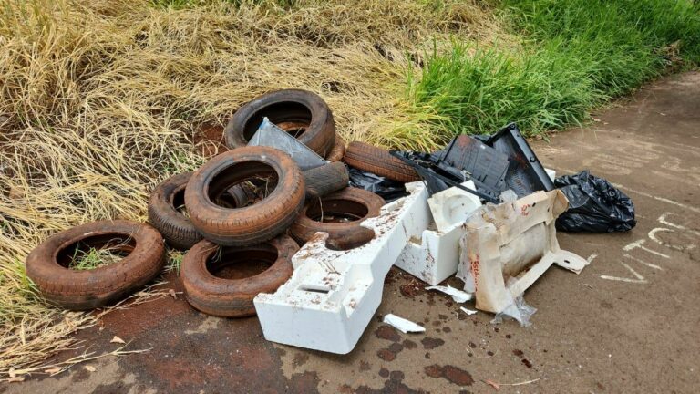 Mutirão recolhe quase 8 toneladas de possíveis criadouros do mosquito da Dengue