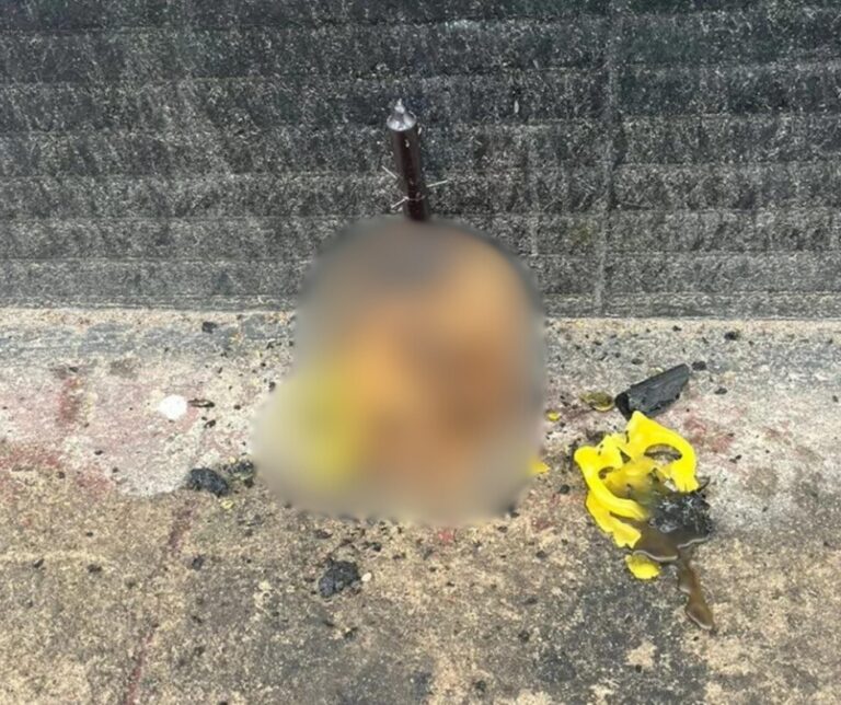 Após demissão, mulher é detida suspeita de deixar crânio na porta de estabelecimento