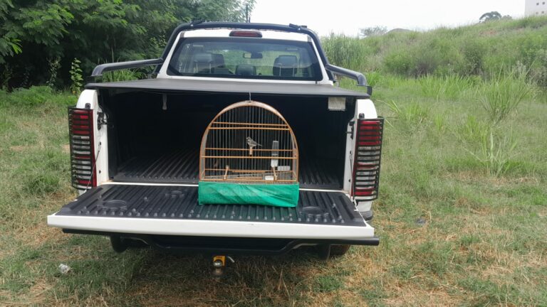 Homem é multado em R$ 4 mil por manter pássaros em cativeiro