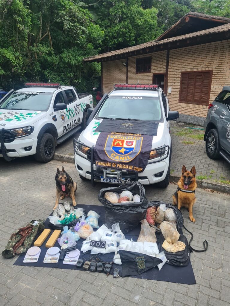 “Bunker” do tráfico é encontrado em área de mata em São Vicente