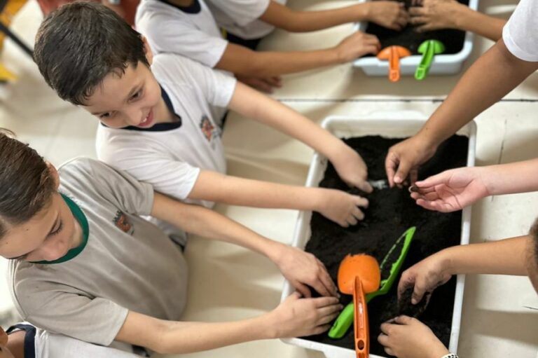 Alunos de São Vicente semeiam para combater a dengue