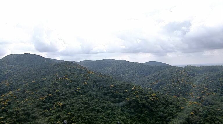 Destroços de avião desaparecido são encontrados; buscas por piloto continuam