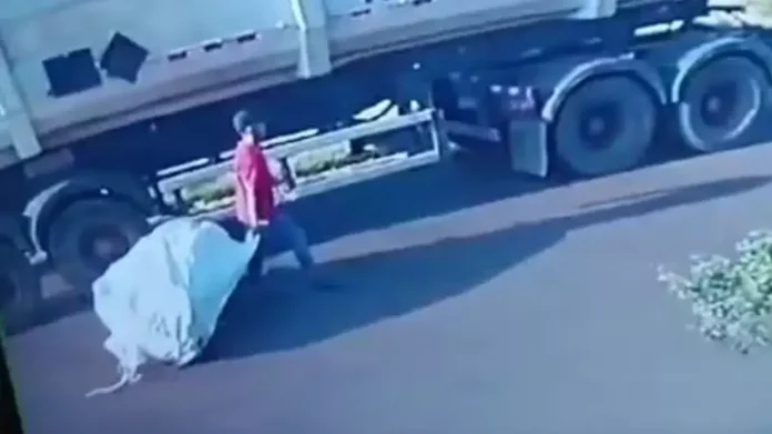 360135100-abre-perfil-brasil-2024-03-19t120345805 (1)